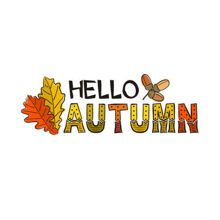 Autumn lettering with hand-drawn oak leaves and acorns. Yellow-orange fall for card or banner. illustration on white backgroundのイラスト素材