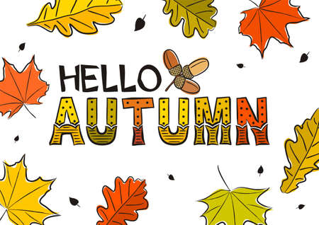 Hello autumn lettering with hand-drawn leaves and acorns. Yellow-orange fall card or banner. illustration on white backgroundのイラスト素材