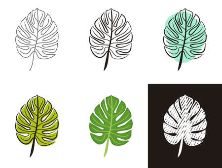 Monstera leaf icons set isolated on white background. Hand-drawn contour icon in doodle style, flat and chalk on a black board. Vector illustration for summer, tropical, exotic or jungle projectsのイラスト素材