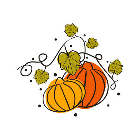 Hand-drawn sketch pumpkins with leaves on a melon field. Doodle style picture isolated on white background. Vector illustration on theme of harvest, fall, thanksgiving and halloweenのイラスト素材