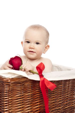 Little boy in basket with red  roseの写真素材