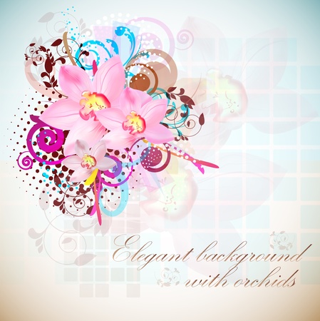 Elegant  composition of orchids. Vintage style のイラスト素材