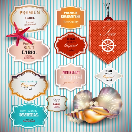 Set of Superior Quality and Satisfaction Guarantee Badges, Labels, Tags with shells and place for text. Retro vintage style.のイラスト素材