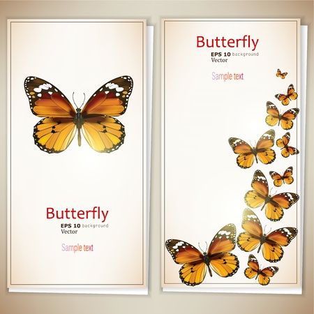 Collection of gift cards and invitations with ribbons and butterfly. Vector backgroundのイラスト素材