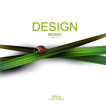 Beautiful background with green grass and ladybugのイラスト素材