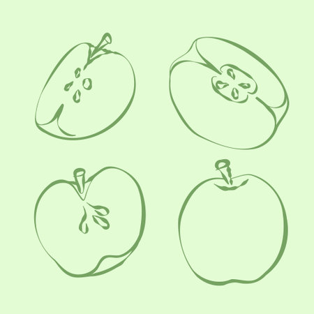 Apple Hand Drawn Line Sketch. Doodle, simple outline illustration for decoration of textile, cover for cider bottles, menu cover, paper and other surfaces. Vector illustrationのイラスト素材