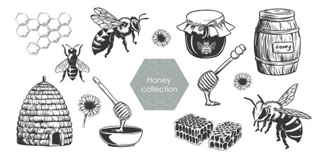 Honey vector set. Vintage Beekeeping illustrations in sketch style. Hand drawn engraving imitation of beehive, honeycomb, bee, spoon, jar, barrel.のイラスト素材