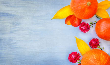 Pumpkin and autumn flowers on a blue wooden background. Thanksgiving day concept.の写真素材