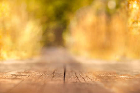 Wooden surface against the background of a defocused autumn yellow forest. Bright sunny day.の写真素材