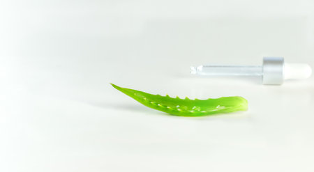 ALOE VERA LEAF ON A WHITE BACKGROUNDの写真素材