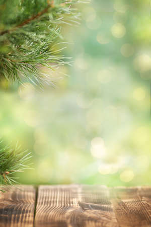 BRANCH OF THE CHRISTMAS TREE ABOVE THE WOODEN SURFACE. CHRISTMAS BACKGROUND WITH HIGHLIGHTS IN THE BACKGROUND.の写真素材