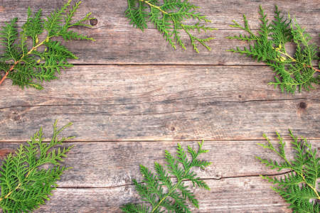Branches of coniferous arborvitae trees are arranged in a circle on a wooden textured surface. Christmas decoration. Copy spaceの写真素材