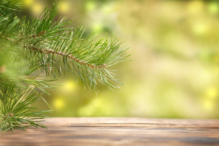 Spruce branches above the wooden surface on a New Year's green background with bright highlights