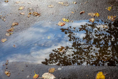 Reflection on water puddle of colorful sky in historic center of Prahaの写真素材