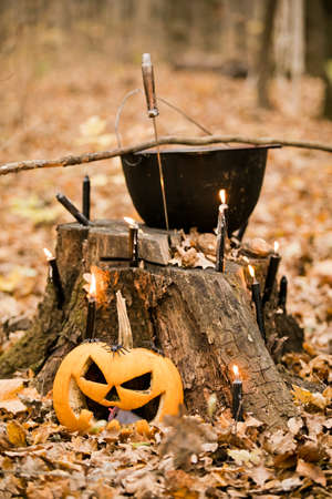Halloween decorations in the forest: cauldron, pumpkin, candles and daggerの写真素材