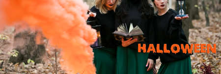 Three witches are reading spells from the book of witchcraft. With HALLOWEEN letteringの写真素材