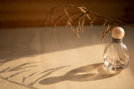 Empty perfume bottle and dried flowers on beige backgroundの写真素材