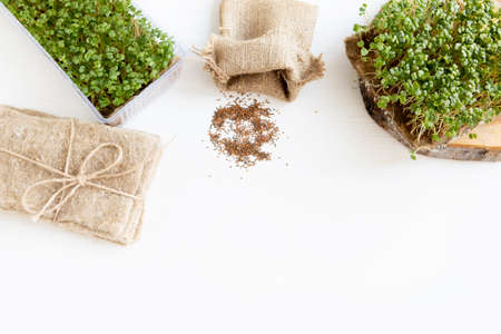 Set for growing microgreen at home. Linen rugs, scissors, seeds, and ready-made microgreens on a white background. Vitamins on the windowsill.の写真素材