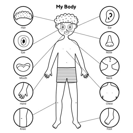 My body parts black and white educational poster with a boy. Learning human body for schoolのイラスト素材