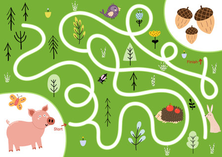 Help the cute hungry pig find path to acorns. Choose the correct way maze puzzleのイラスト素材