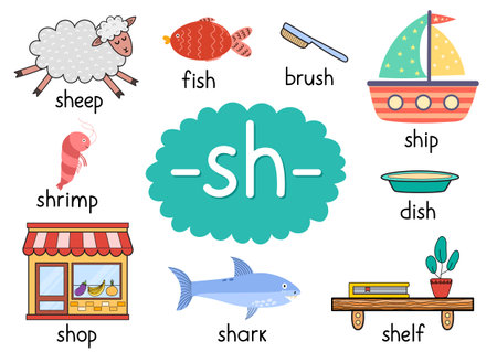 Sh digraph with words educational poster for kids. Learning phonics for school and preschoolのイラスト素材