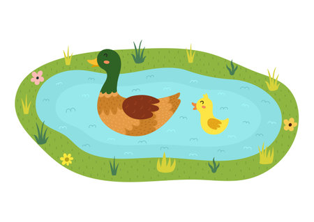 Mother duck with her baby duckling on the lake. Pond with birds on it print in cartoon styleのイラスト素材