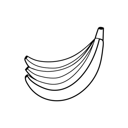Black and white banana isolated on white background. Linear fruit for coloring bookのイラスト素材