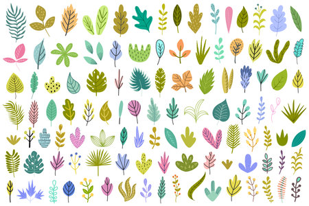 Plants and leaves bundle. Big collection with nature elementsのイラスト素材