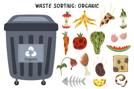 Organic garbage sorting set. Grey trash can for organic waste with rotten fruitsのイラスト素材