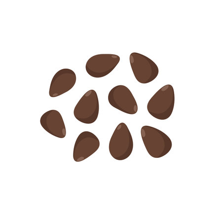 Chia seeds isolated element. Vegetarian and vegan nutritionのイラスト素材