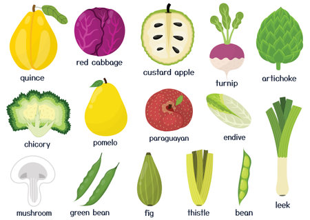 Fruits and vegetables set. Collection of healthy food isolated elements in cartoon styleのイラスト素材