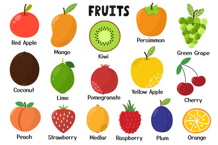 Fruits collection. Healthy food isolated elements in cartoon style. Great for recipesのイラスト素材
