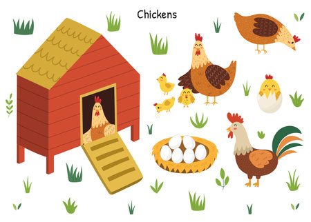 Chicken set with a cute hen, rooster, chicks and eggs. Chicken coop with a bird insideのイラスト素材