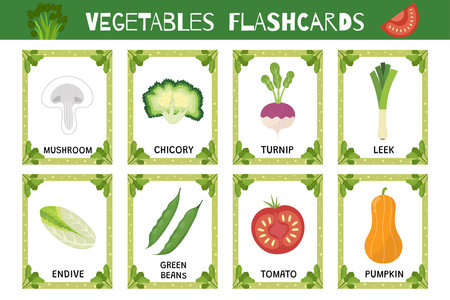 Vegetables flashcards set. Flash cards collection for school and preschool. Learn food vocabulary for kids. Pumpkin, leek, turnip and more. Vector illustrationのイラスト素材