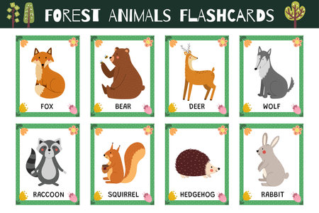 Forest animals flashcards collection for kids. Flash cards set with cute woodland characters for practicing reading skills. Fox, bear, deer, wolf and more. Vector illustrationのイラスト素材