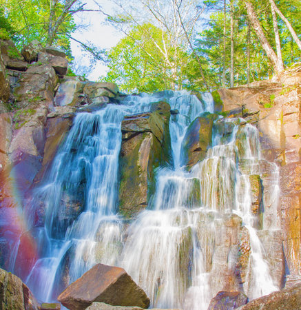 beautiful forest waterfall. on the stony slope runs stormy forest waterfall. in the Sun