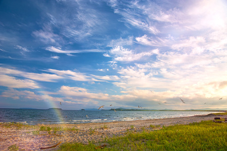 a beach on the sea, sand and waves, seagulls fly over the water. Sunsetの写真素材