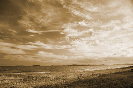 a beach on the sea, sand and waves, seagulls fly over the water. Sunsetの写真素材