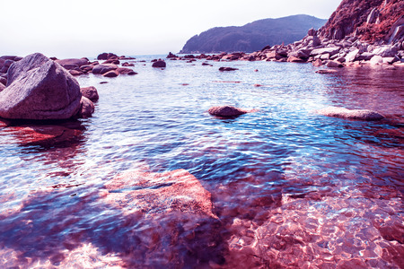 beautiful beach lots of high stones from the destroyed rocks, trees grow. on a sunny dayの写真素材