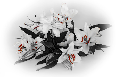 flowers lilies adorned with stones and different decorations. drops of waterの写真素材