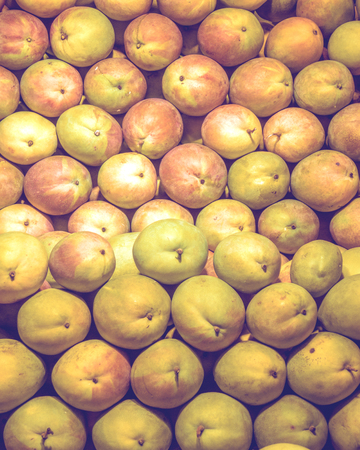 many beautiful mango lie on a showcase counter full of green and ripe mango. tropicsの写真素材