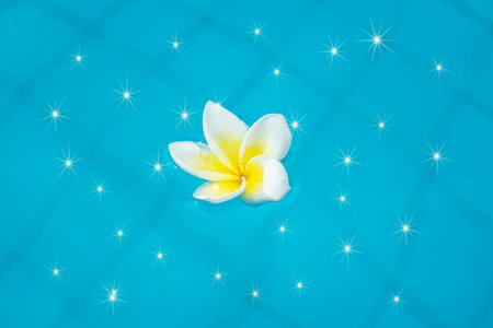 beautiful tropical flowers float on the surface of the water, bright expressive flower in the...