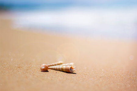 beautiful ornate shell lies on the shore of the sea, turquoise waves lapping on the shore. tropics