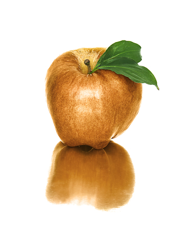 beautiful, ripe, juicy apples on a white background. beautiful fruit without the background. apples. isolateの写真素材