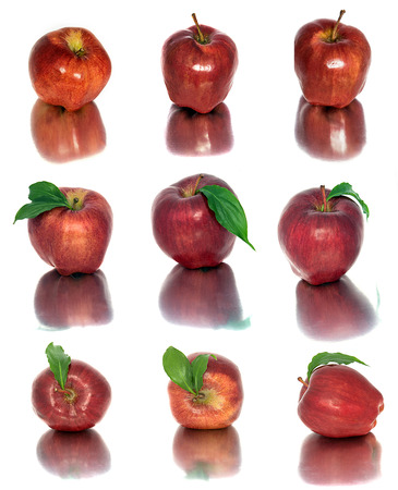 many different apples on a white background, red and yellow apples without background, many different. Group isolatesの写真素材