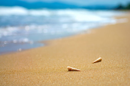 beautiful ornate shell lies on the shore of the sea, turquoise waves lapping on the shore. tropics