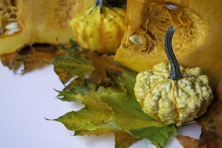 Autumn harvest. Background with maple leaves and slices of pumpkin. Mini decorative pumpkin and a half of big.の写真素材