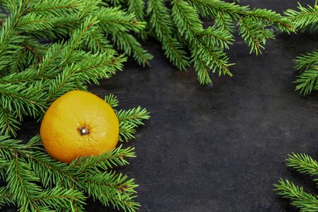 Frame of fir branches and tangerines. Winter mood. Holiday, New year and Christmas concept. Place for your text.の写真素材