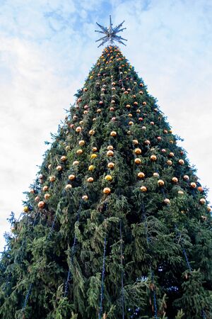 all Christmas tree on a background of clear blue sky with white clouds. Decorated with golden balls and a star on top.の写真素材