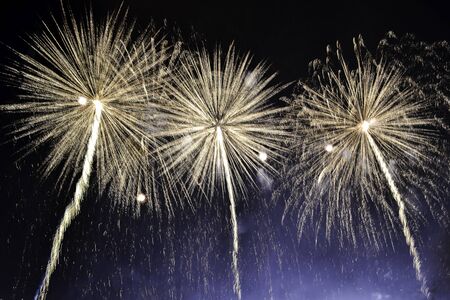 Variety colorful firework on the night sky background. Salute with gold flashes.の写真素材